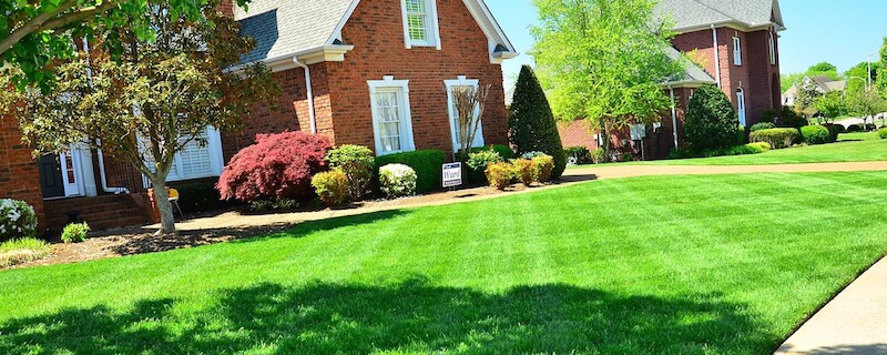 Lawn preparation